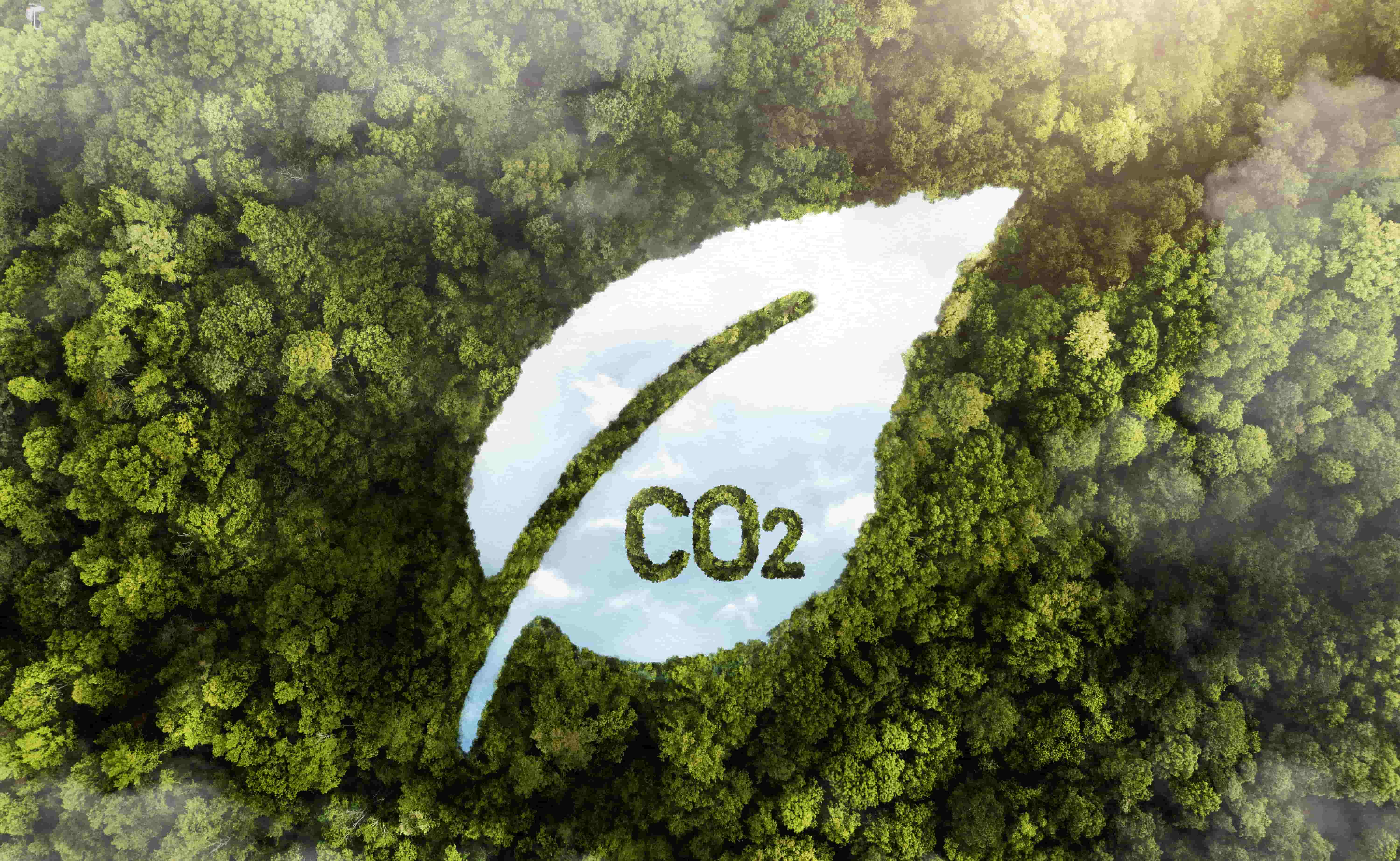 Carbon Emissions in 2025: Are We on Track to Save the Planet?